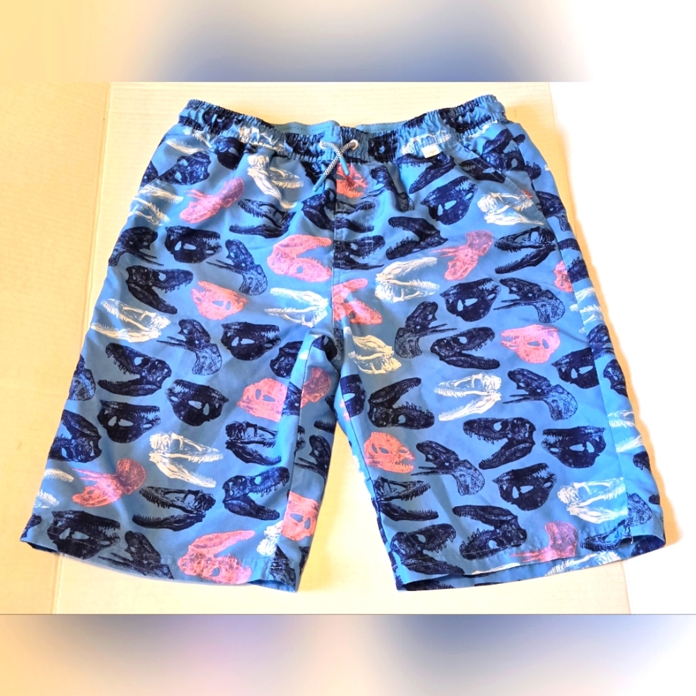 Dinosaur Swim Trunk, Boys XL (16)